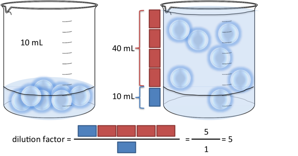 Using the dilution factor to calculate dilutions • Hemocytometer