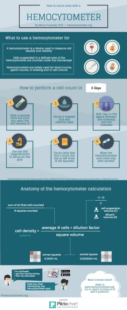 Using a hemocytometer to count cells in 6 steps • Hemocytometer